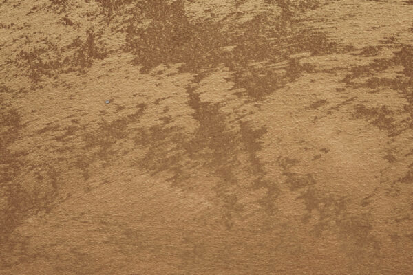 C016 - Tuscany Gold