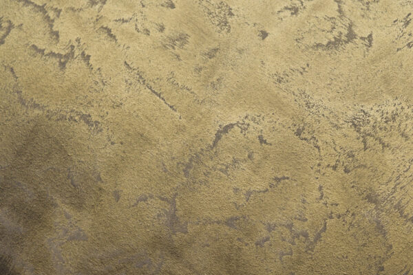Cinque - C007 Metallic Gold